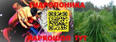 гидра Краснокаменск
