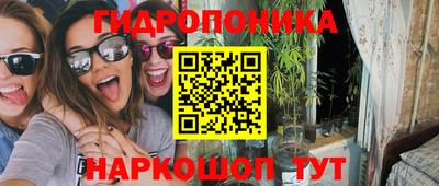 гидра Краснокаменск