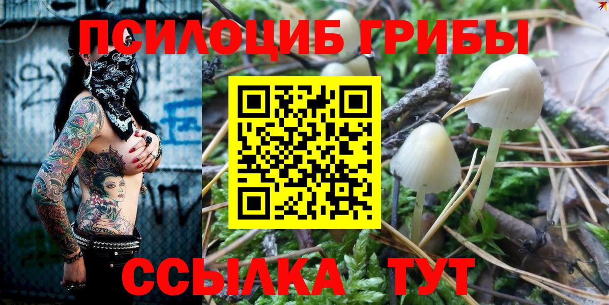 Псилоцибиновые грибы мицелий Корсаков