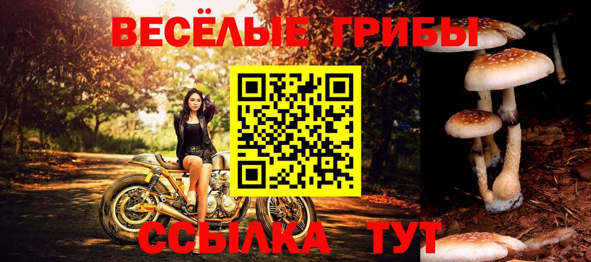 Корсаков  Галлюциногенные грибы мухоморы  Вход с VPN 